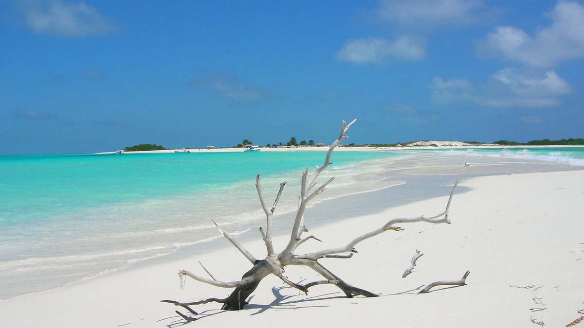 Los Roques National Park Hotel | Posada Acuario