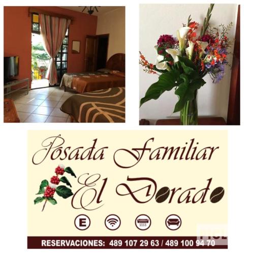 Xilitla House | Posada Familiar El Dorado