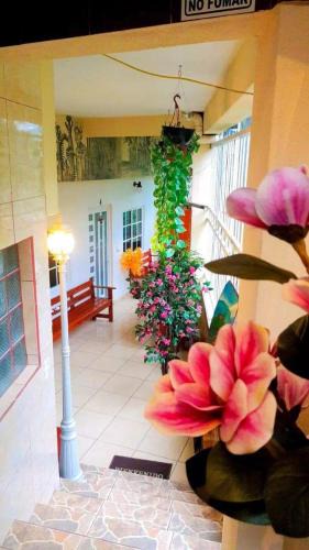 Xilitla House | Posada guitos