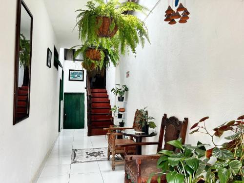 Old Town Hotel | Posada Los Helechos