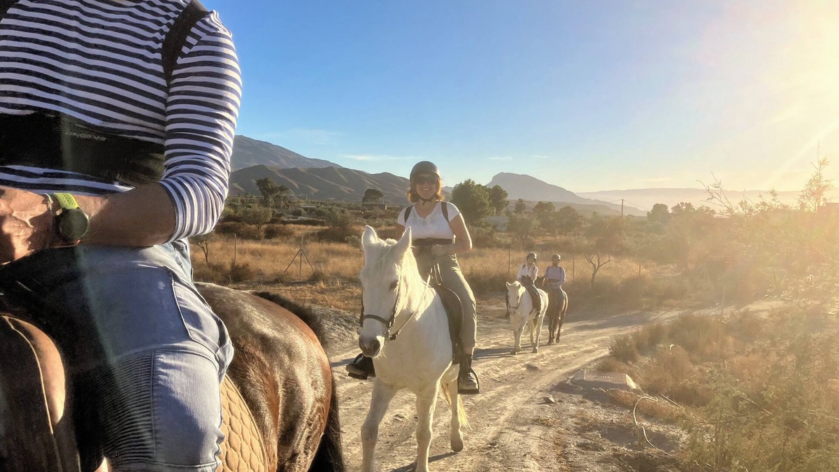 Tabernas Bed & Breakfast | Posada Rancho Malcaminos - Desert of Tabernas