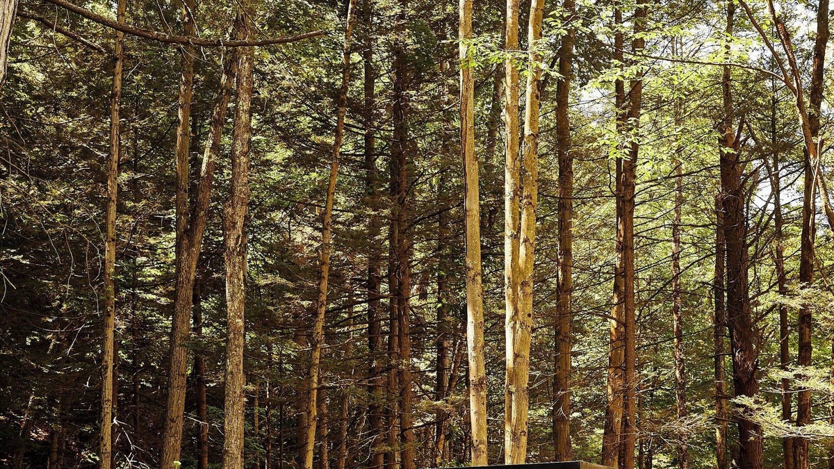 Catskill Cabin | Postcard Cabins Eastern Catskills