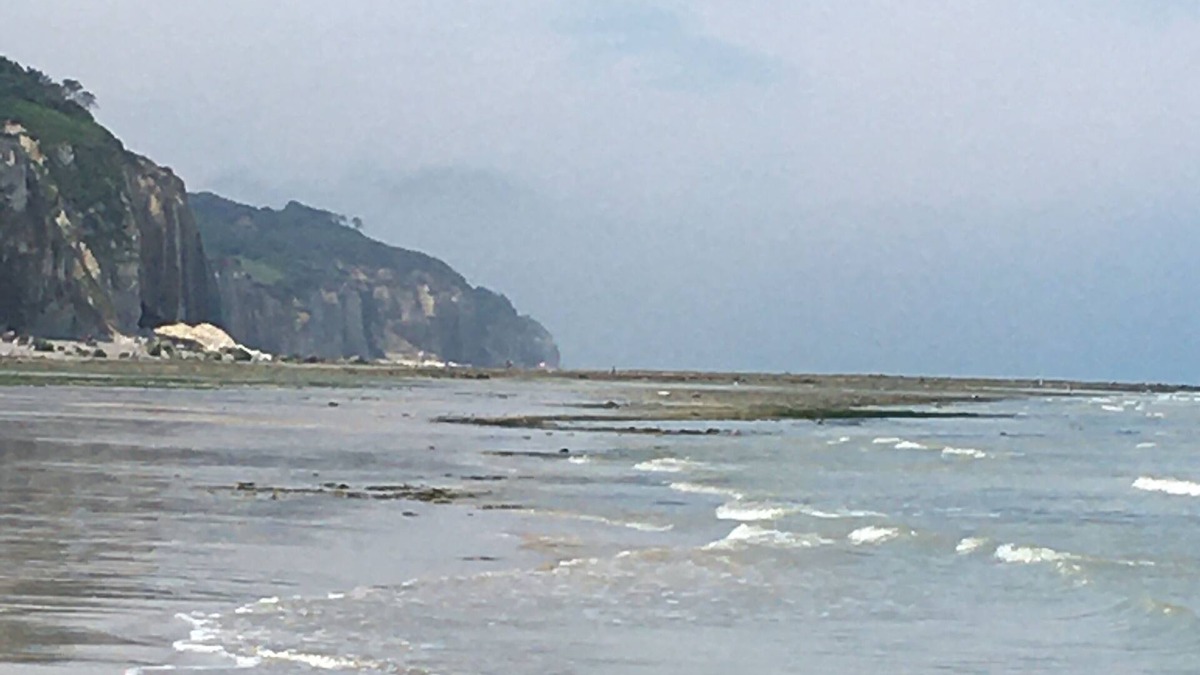 Pourville-sur-Mer House | Pourville sur mer 5 mn walk from the beach very nice house sea view 8 pers