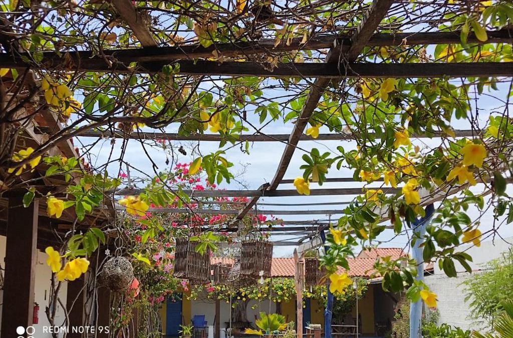 Icapui Hotel | Pousada e Restaurante Tremembé