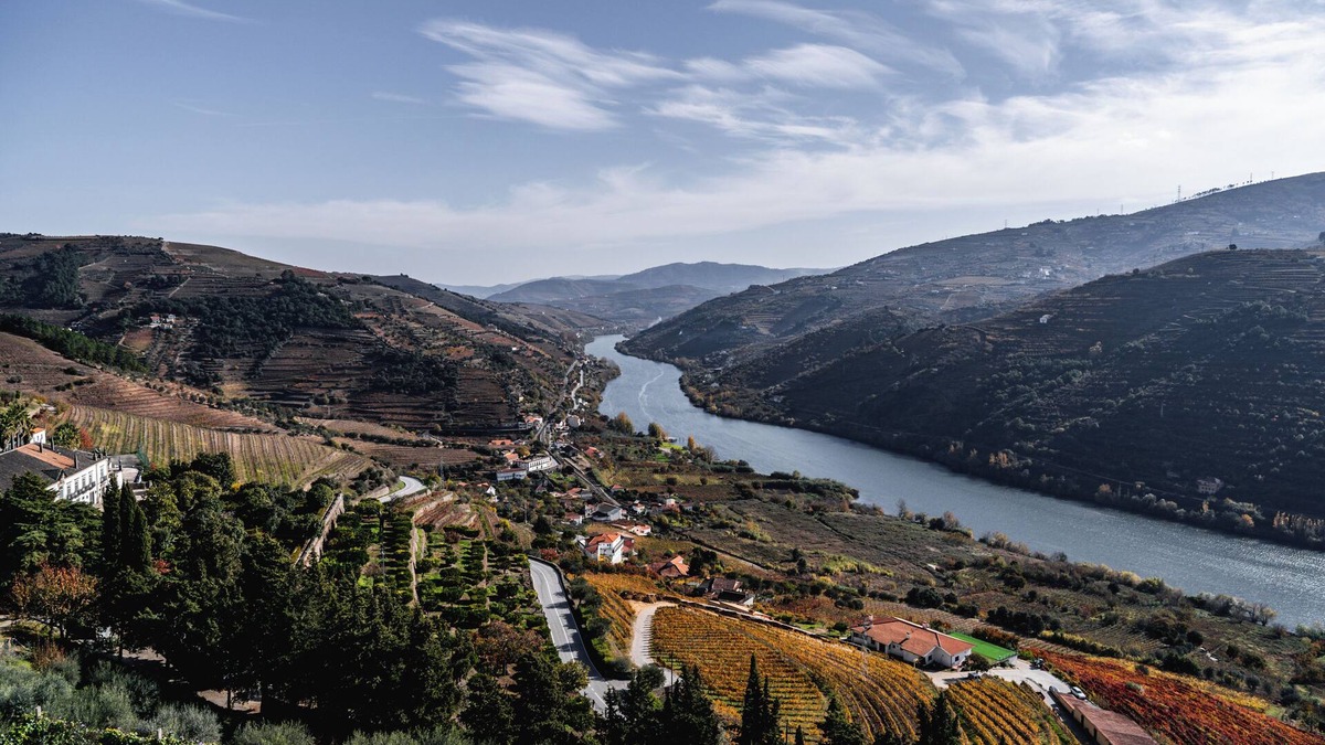 Mesao Frio House | Pouso dos Pousos - A fantastic view of the Douro, to contemplate, slowly