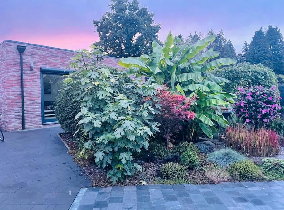 Leut House | Prachtig guesthouse met gratis parkeren