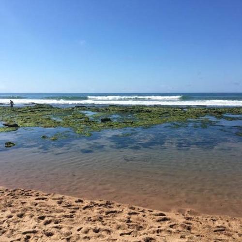 Ipitanga Apartment | praia de ipitanga lauro de freitas