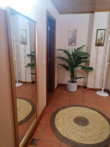 Praia de Mira Apartment | Praia de Mira - Apartamento T2