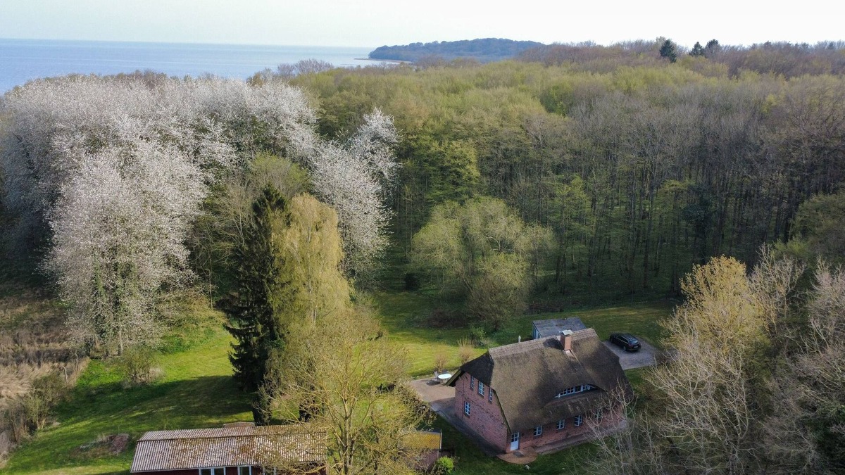 Putbus House | PREMIUM APARTMENT IN THE KOLLHOF: DREAM LOCATION SO-RÜGEN