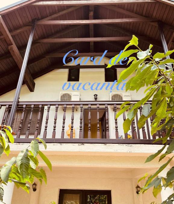 Suceava Apartment | Presidential Apartment