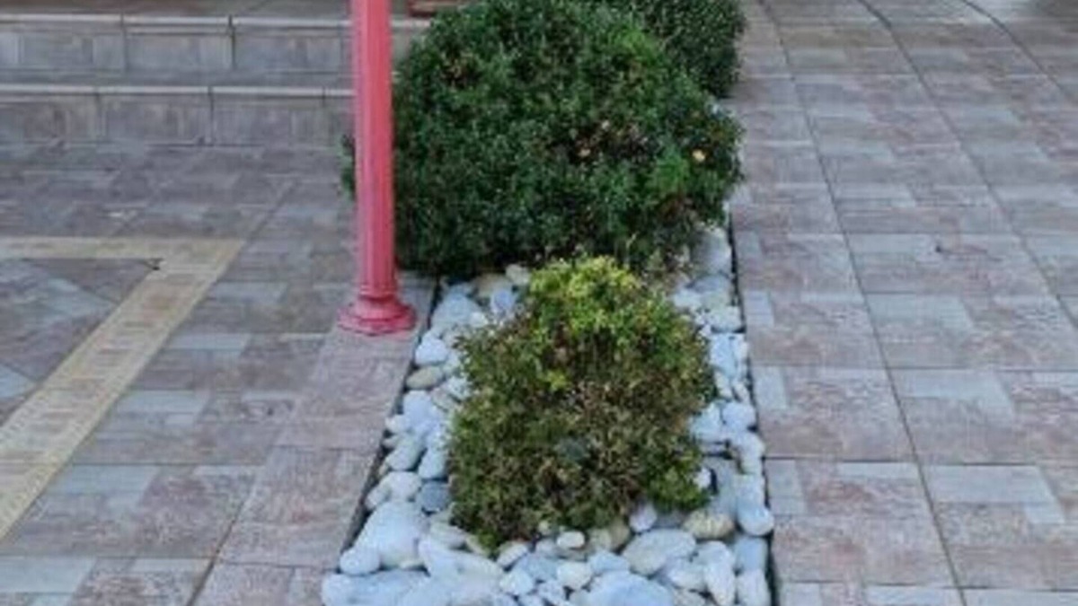 Drama Apartment | Presidential Palace - Free parking