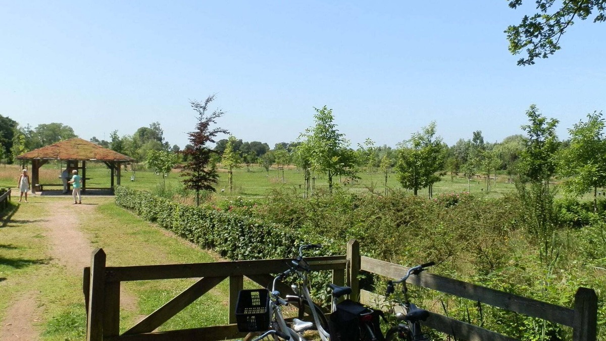 Haaksbergen Apartment | Pretty Farmhouse in Haaksbergen near Forest