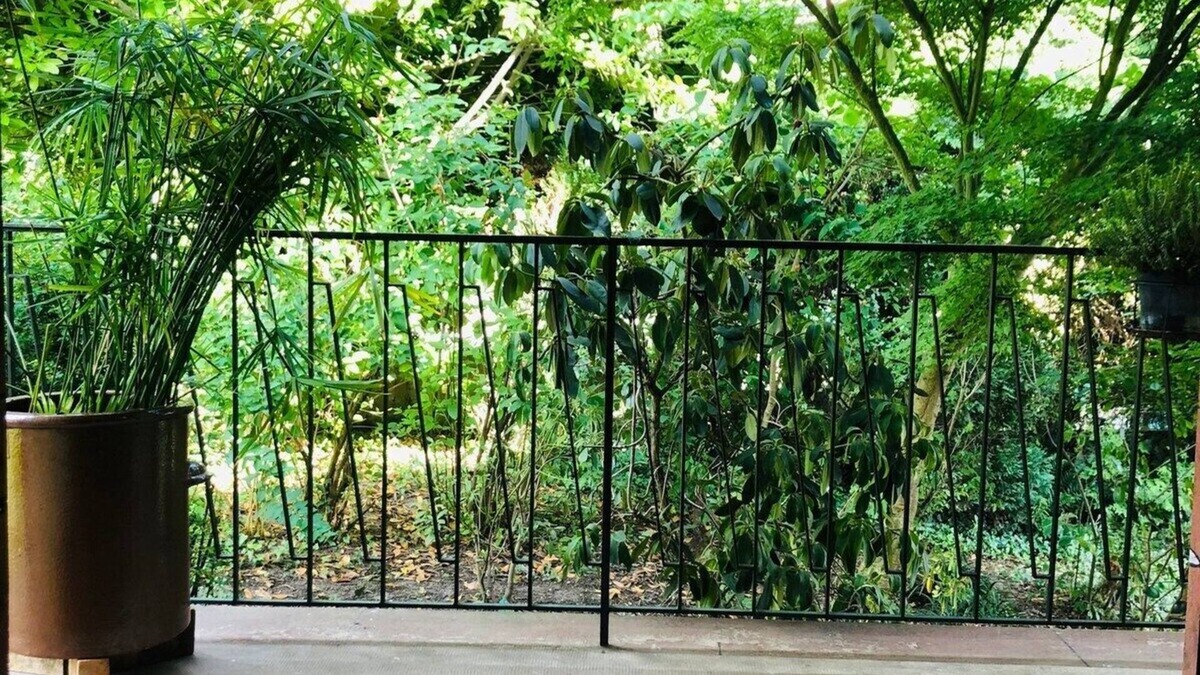 Bischwiller House | Pretty, spacious gite surrounded by greenery