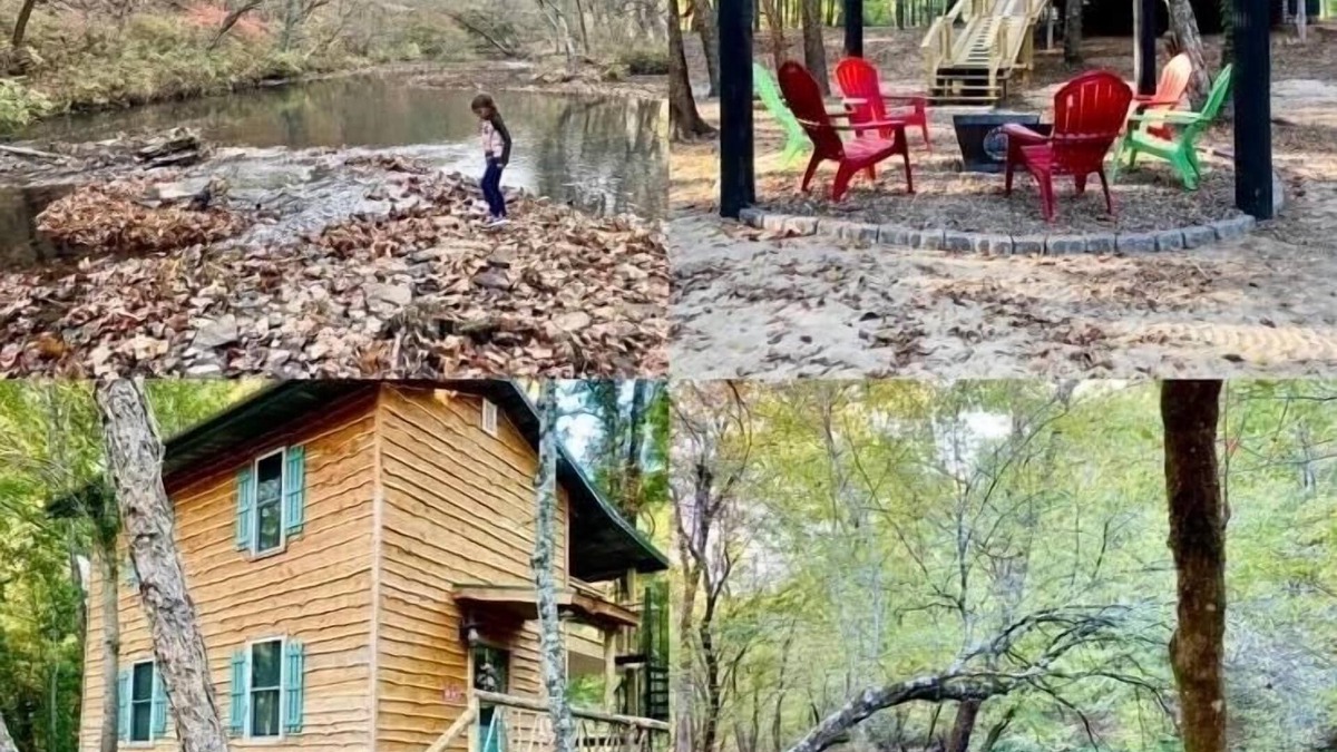 Quitman Cabin | Private 14 acre Creek side Cabin and close to Lake