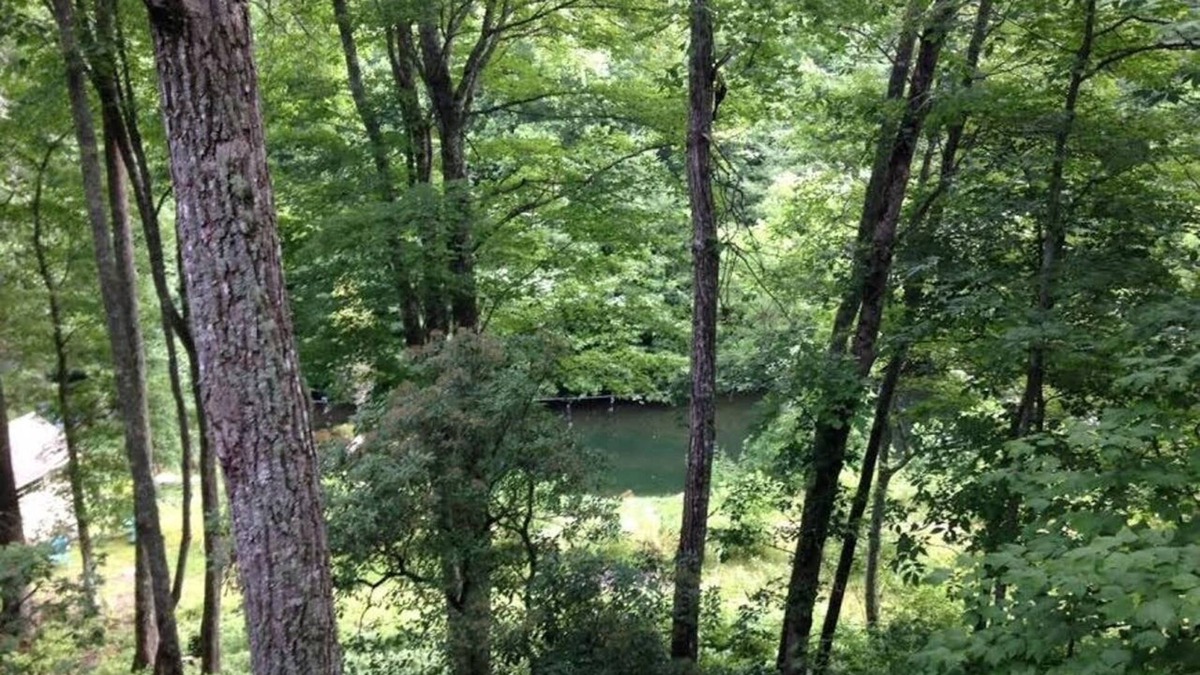 Cullowhee Apartment | Private apartment in the mountains