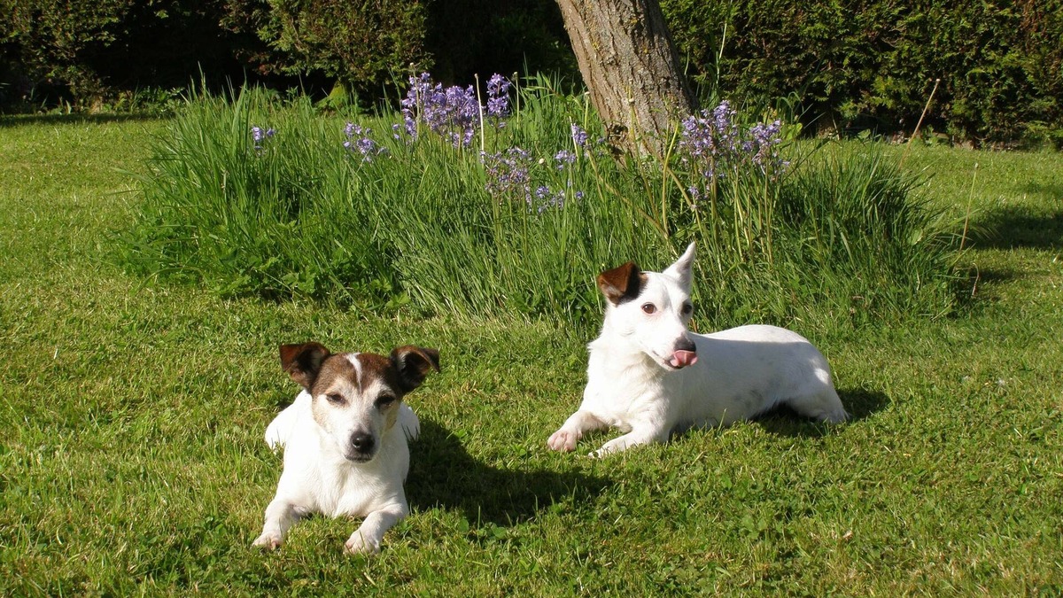 Lower Wick Apartment | Private Apartment, Rural Setting, Easy Access To Countryside, Cities & Culture