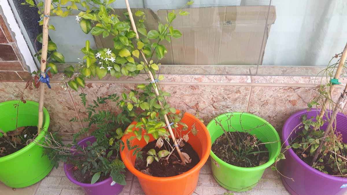 Cusco Apartment | PRIVATE APARTMENT wonderful view of the outskirts of the central city