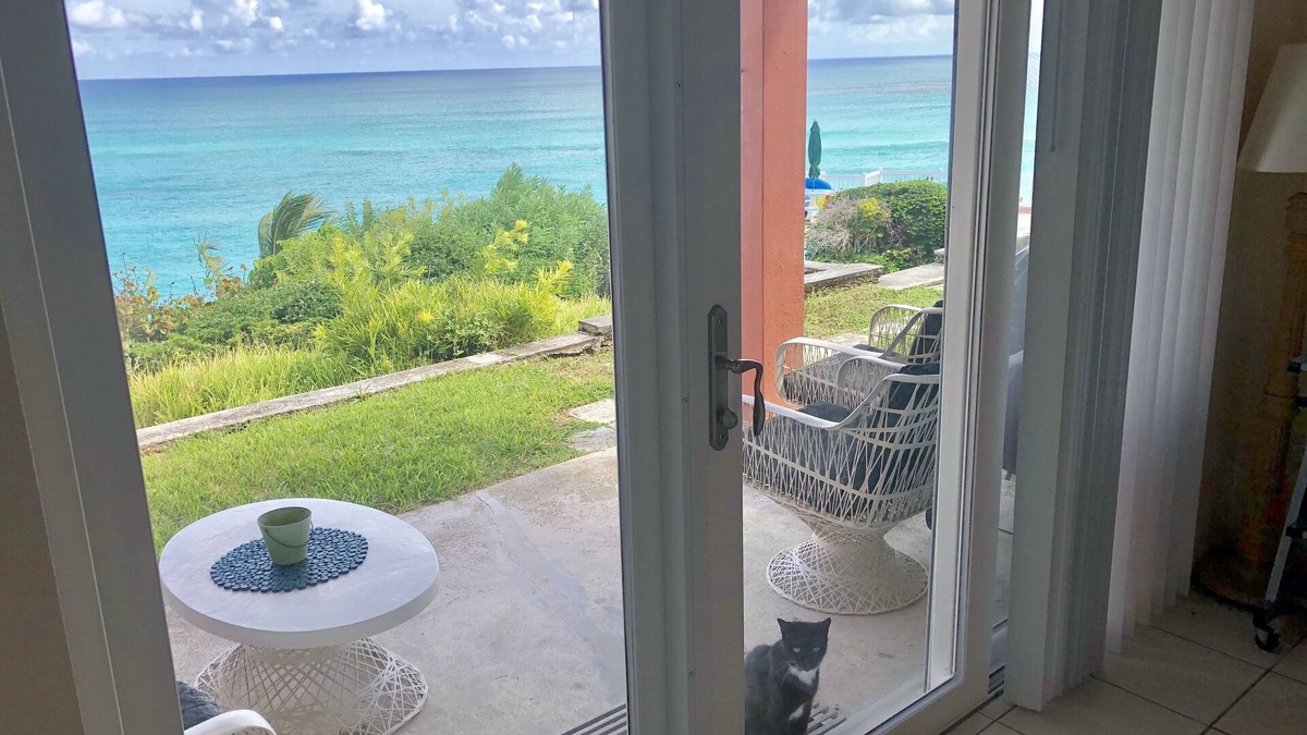 Warwick Apartment | Private Beach - Cliffs of Marley - Studio - Halfway to heaven -