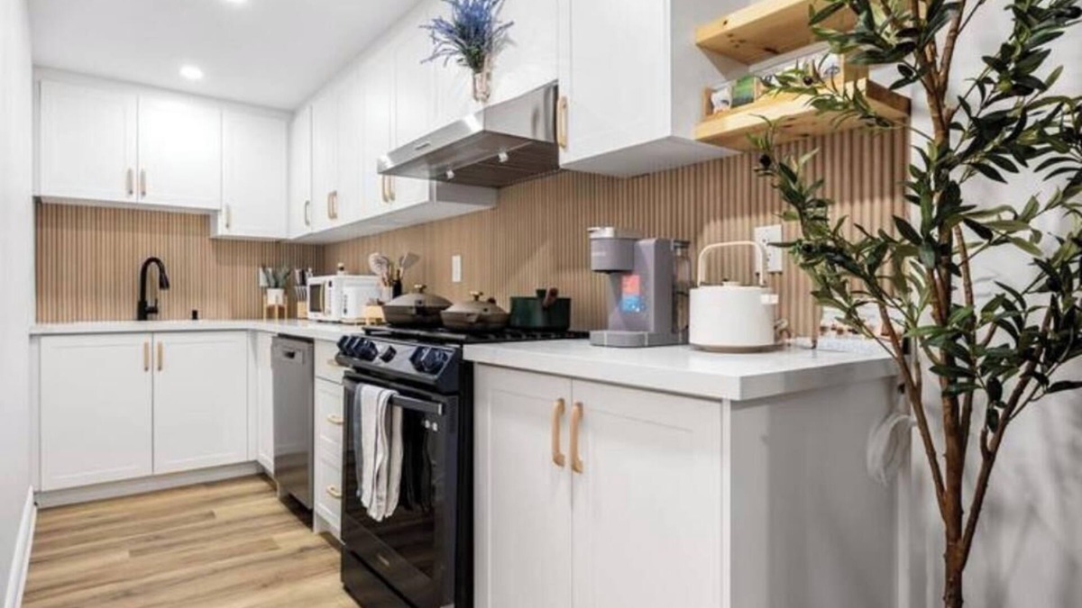 Hamilton Apartment | Private Brand New Basement with Side Entrance