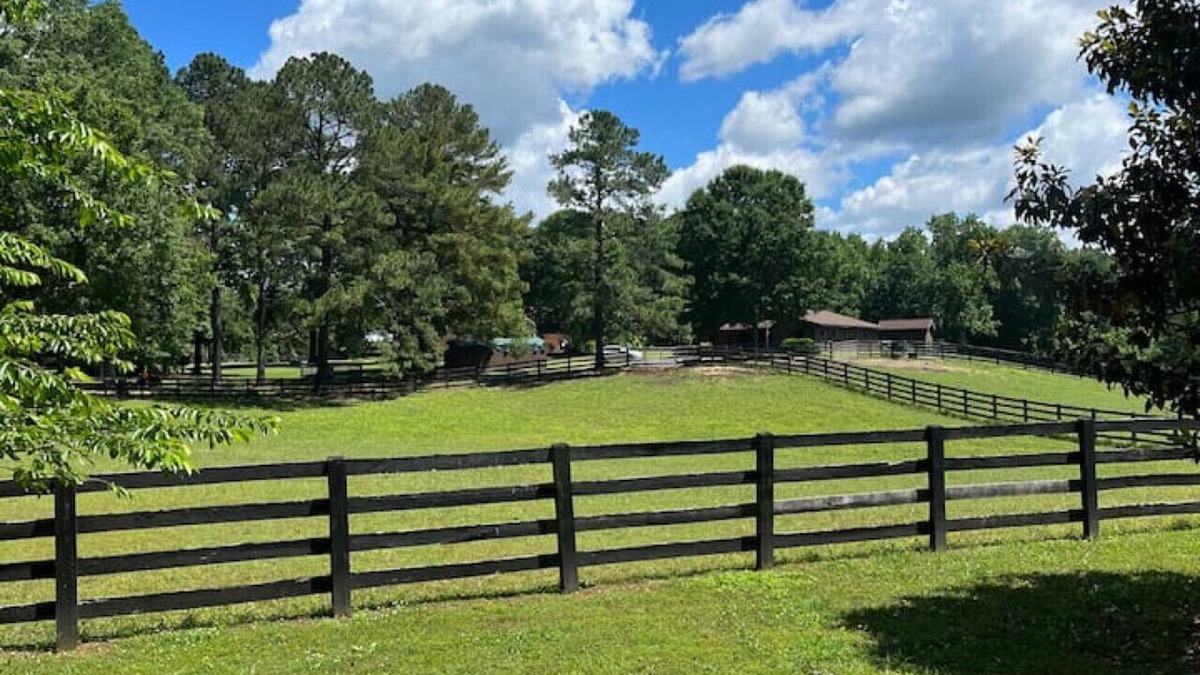 Berkeley Cottage | Private Cottage on Horse Farm in Williamsburg!