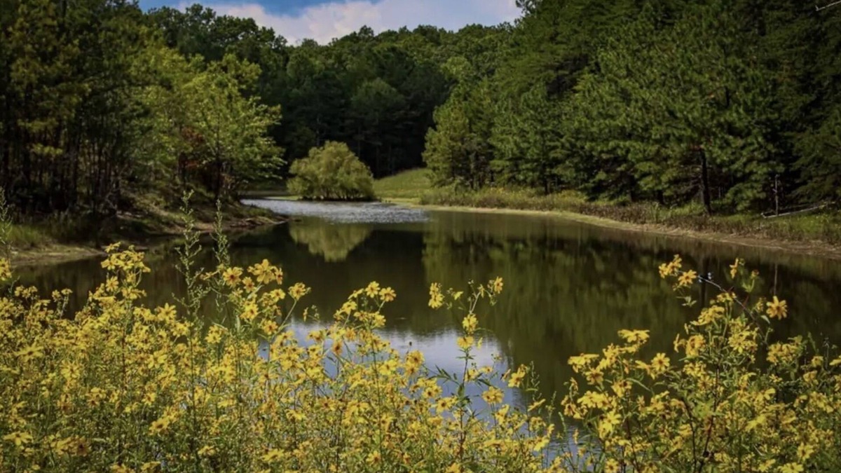Mentone Cabin | Private, Cozy Cabin only 7 min from Downtown Mentone