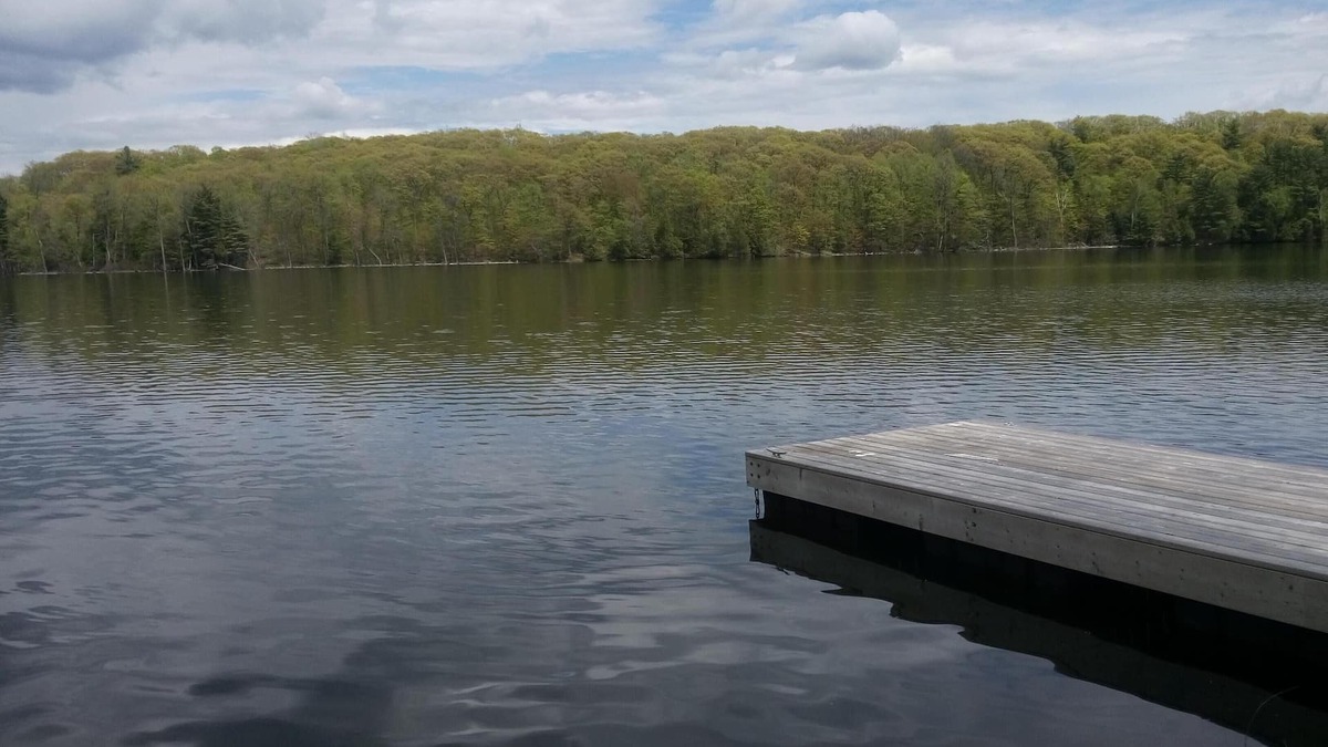 Central Frontenac Cottage | Private cozy cottage on Bobs Lake with boat launch
