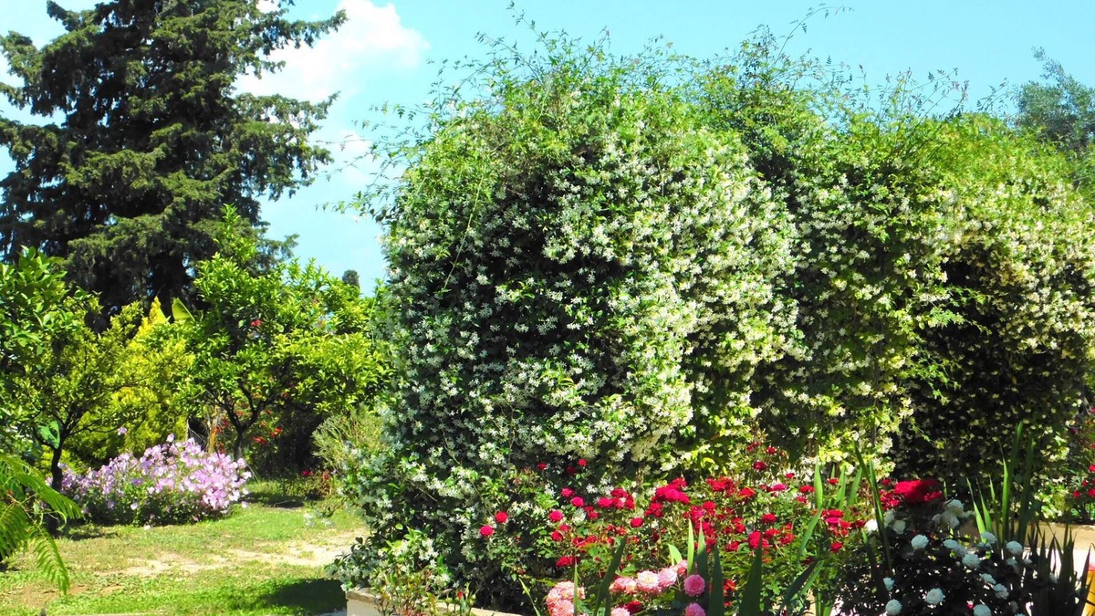 Perama House | Private, Cozy Decorated, Fancy And Modern Cottage With Sea Views And Garden.
