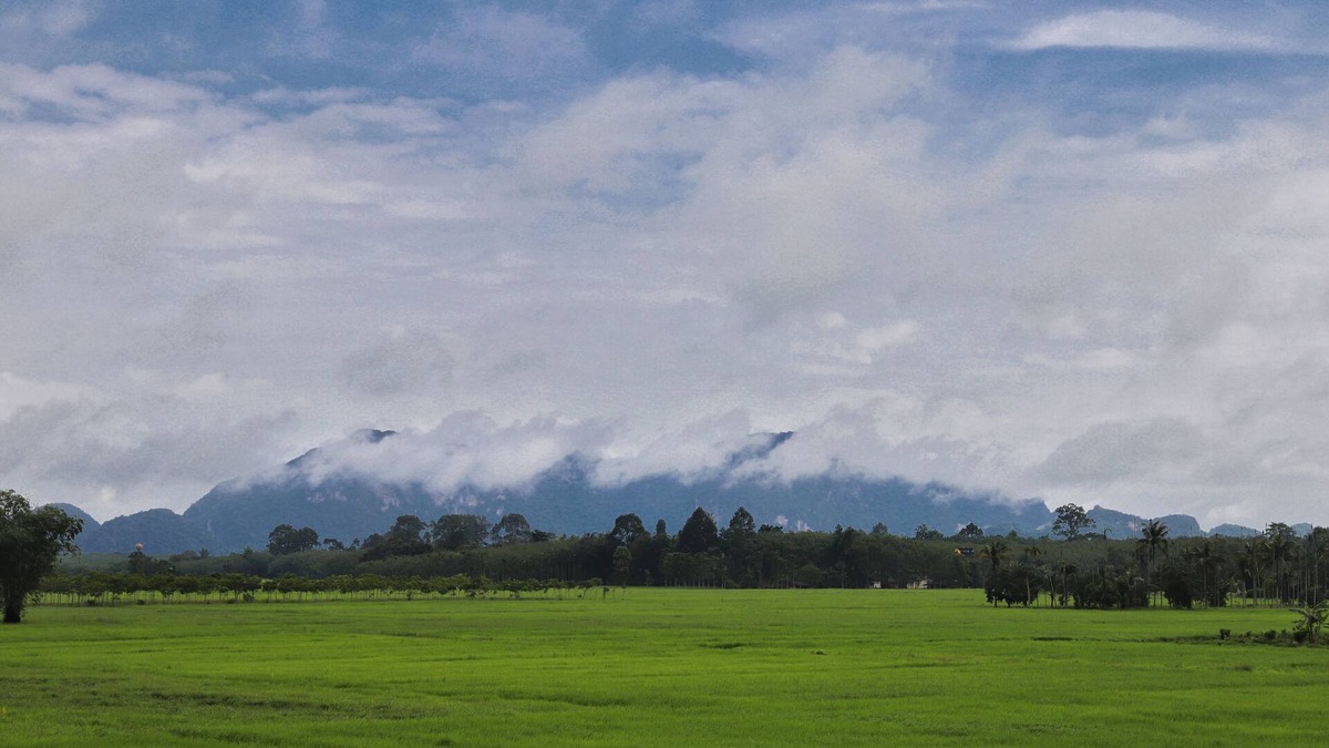 Khuan Khanun House | Private cozy family house, paddy field scenery