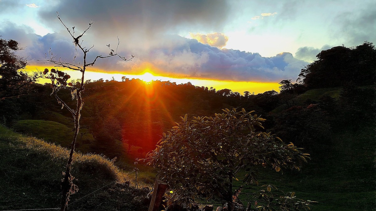 Quebrada Grande Other | Private cozy house in the middle of the cloud forest.