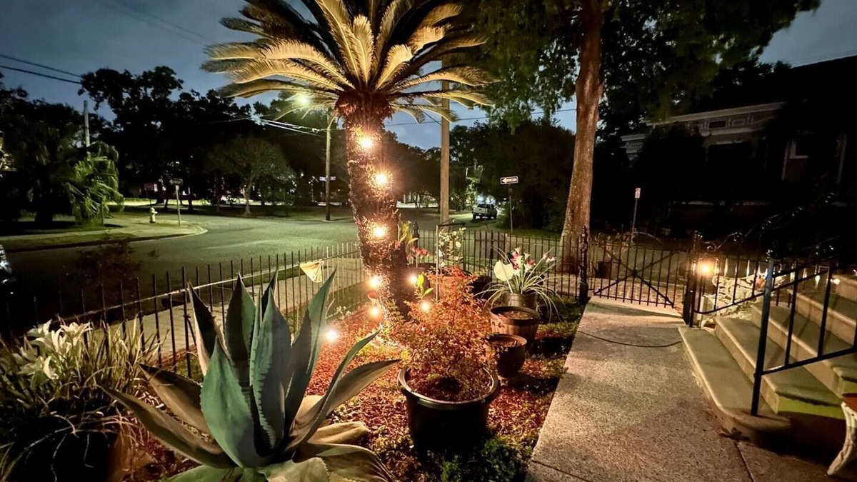 Treme Apartment | Private cozy lower 2 bedroom apartment in Mid City New Orleans