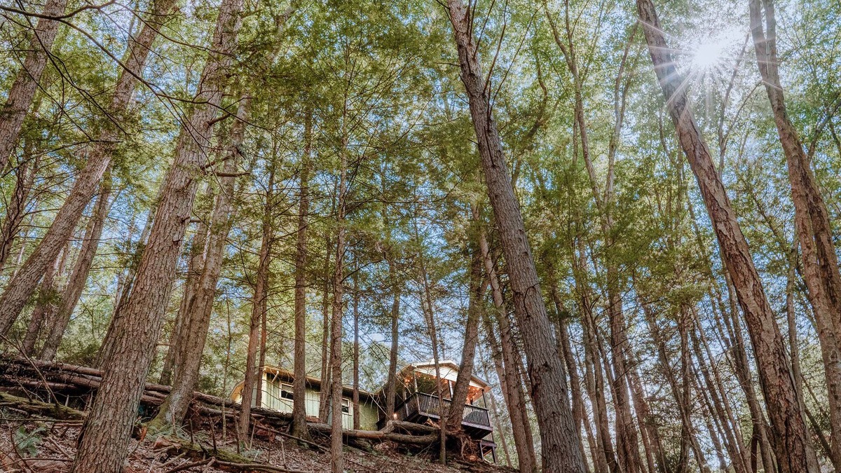 Cambra House | Private Creekfront-fish-Kayaks,campfire,decks, well known trout stream, privacy