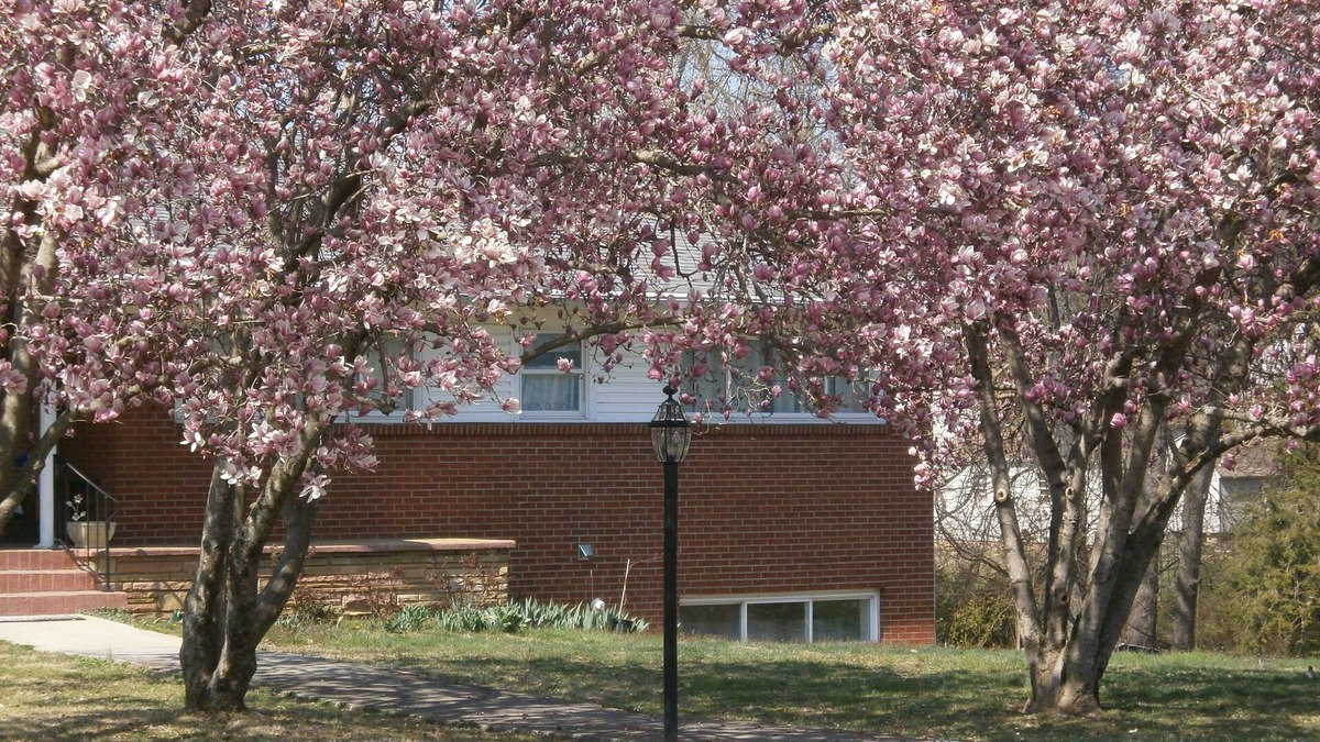 Knoxville Apartment | Private Entrance with off street Carport Parking!