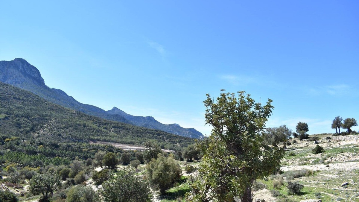 Arapkoy Villa | Private Family Villa in Arapkoy