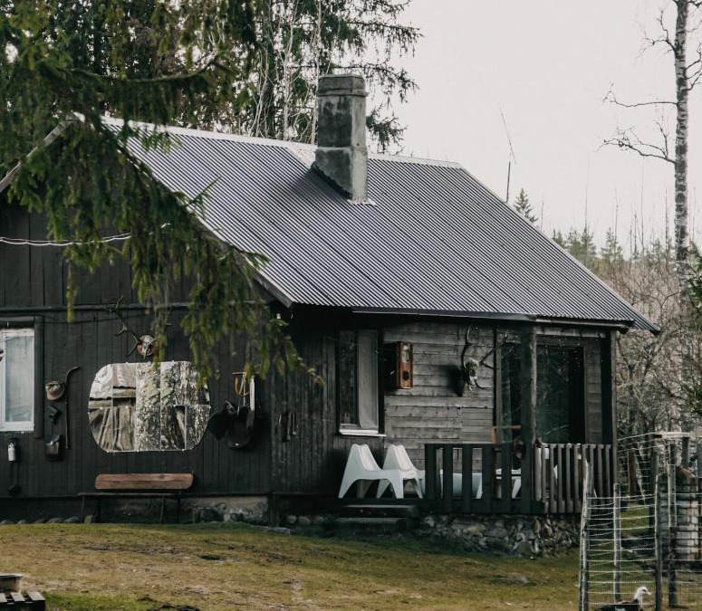 Pedvale Cabin | Private Farm Jakuzzi Sauna in the forest