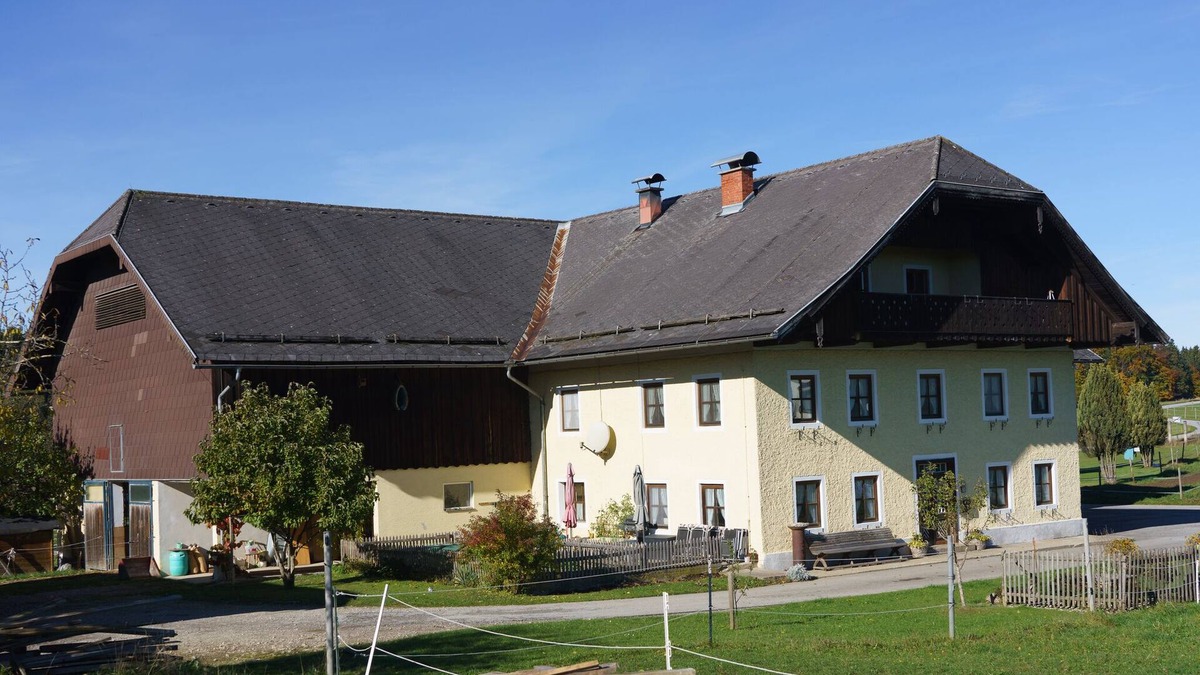 Seeham Other | Private Farmhouse Escape: Ideal for up to 8 Guests