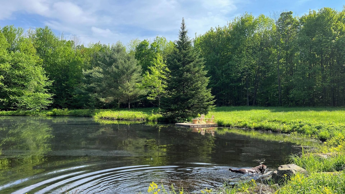Bromont Apartment | PRIVATE FOREST WITH PATHS AND POND ON THE DOORSTEP. YOUR DOG OFF-LEASH EVERYWHERE.