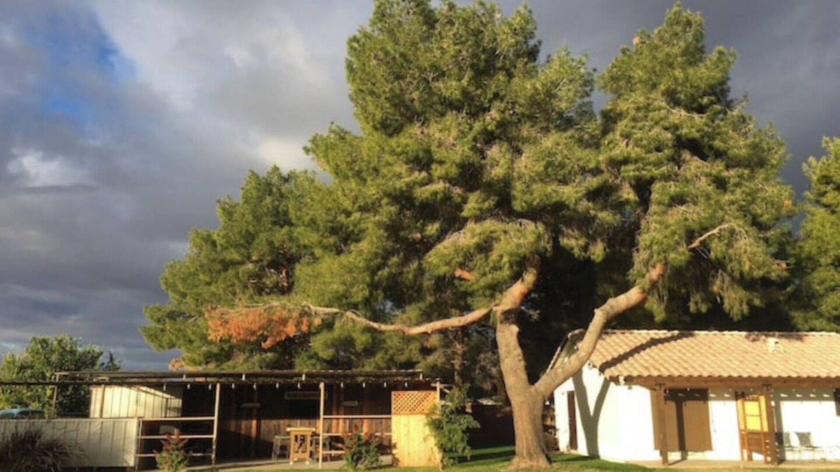 Gilbert House | Private Gilbert Getaway