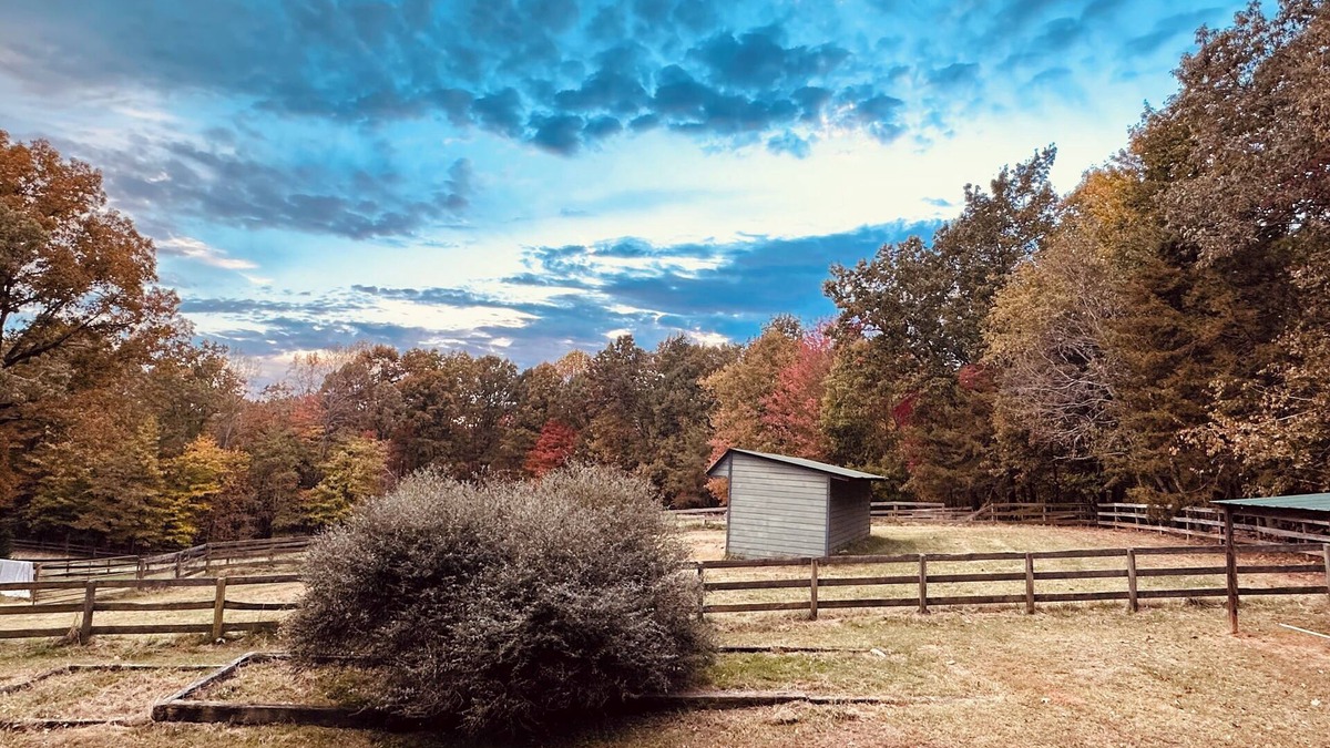 Columbus House | Private Guest House in the Woods situated on 27 acres.