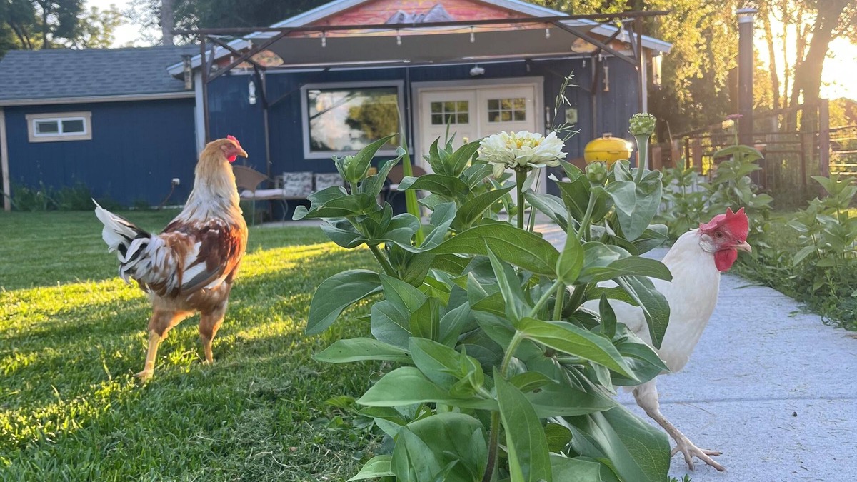 Laporte House | Private guest house! This Is your own little home away from home! Quaint retreat