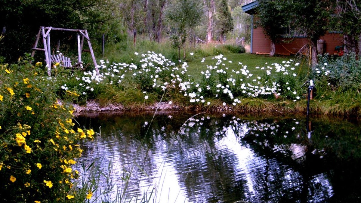 Bedford House | Private home, creek, pond, serene, quiet, breathtaking landscape