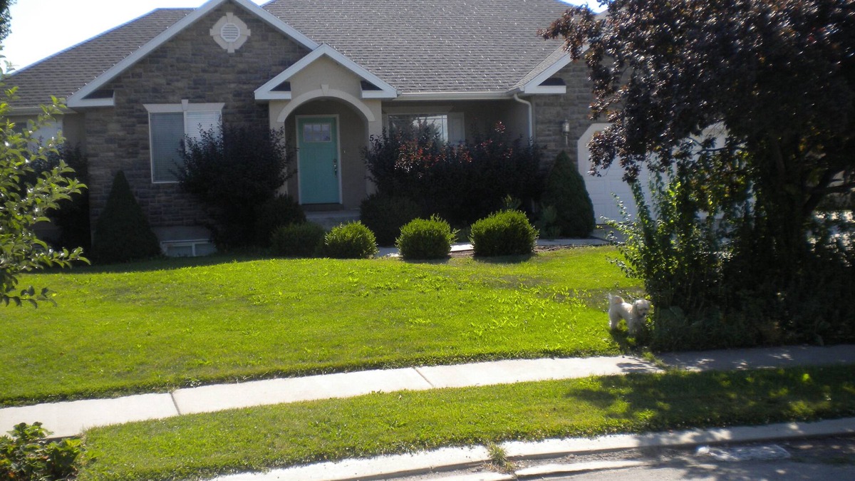 Heber House | Private Home In Beautiful Heber Valley. Near Summer And Winter Recreation.