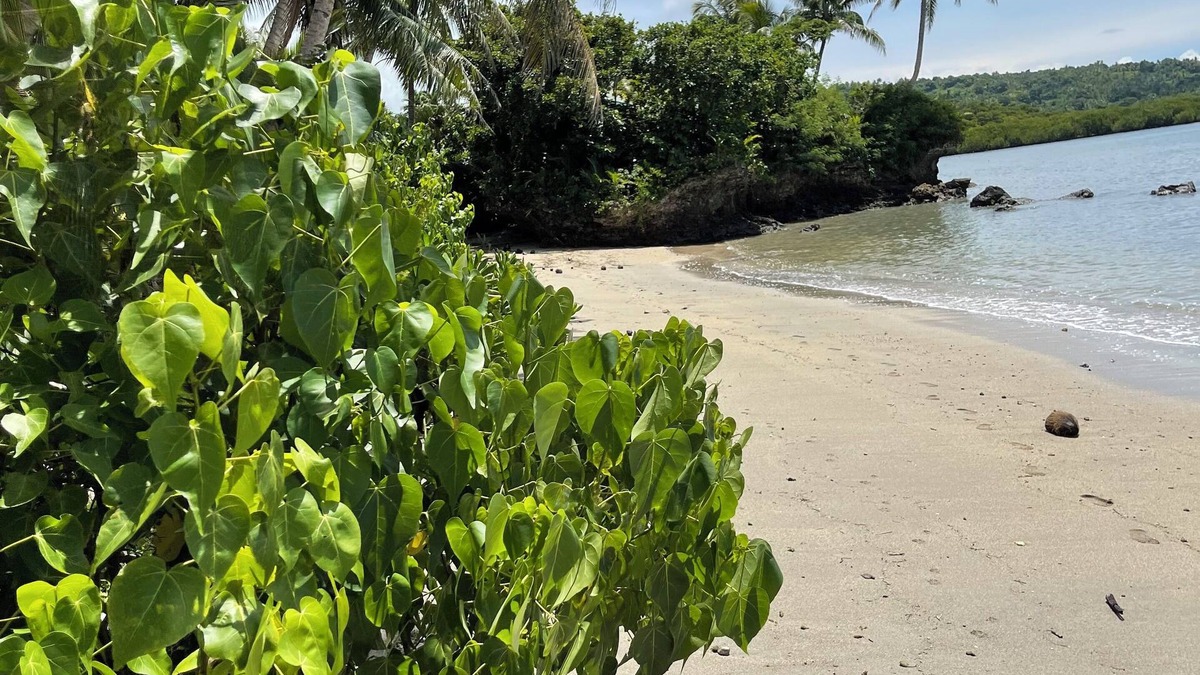 Savusavu House | Private Island Escape Fiji ,Yoga,Wellness & Beachfront Serenity.