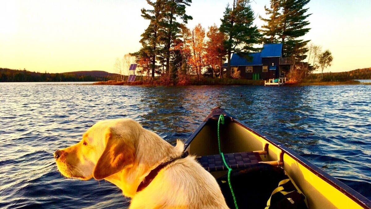 Nipissing Township Cottage | Private Island Retreat - Couples Only - On Kawawaymog Lake near Algonquin Park