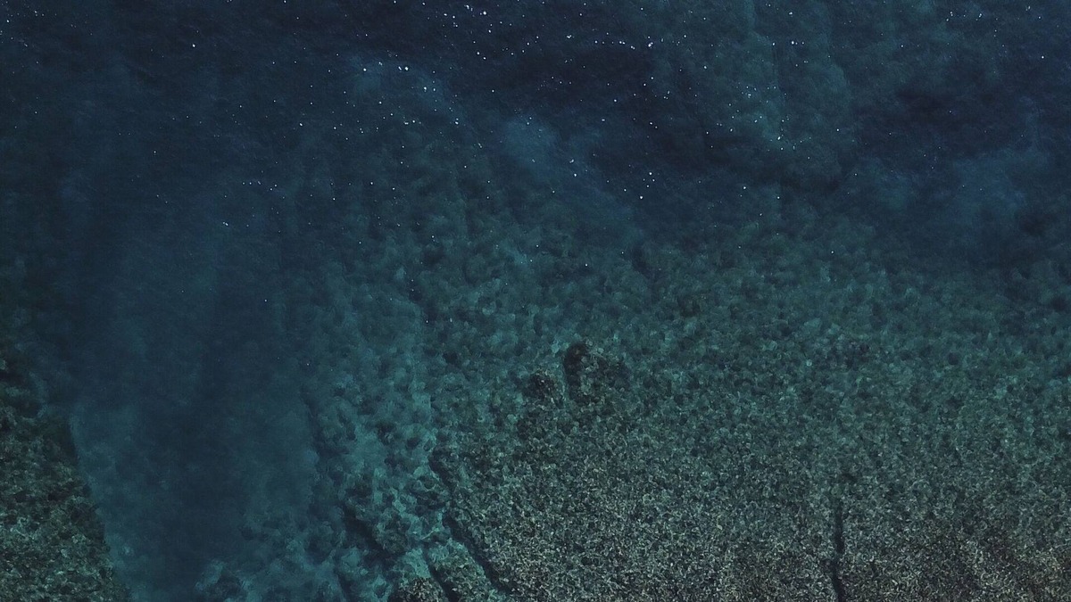 Matao Tiupeniu House | PRIVATE ISLAND STYLE PROPERTY - 2 SEPARATE BUNGALOWS