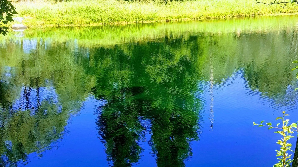 Granite Bay House | Private Lake, Farm Stay, 100 acres Granite Bay