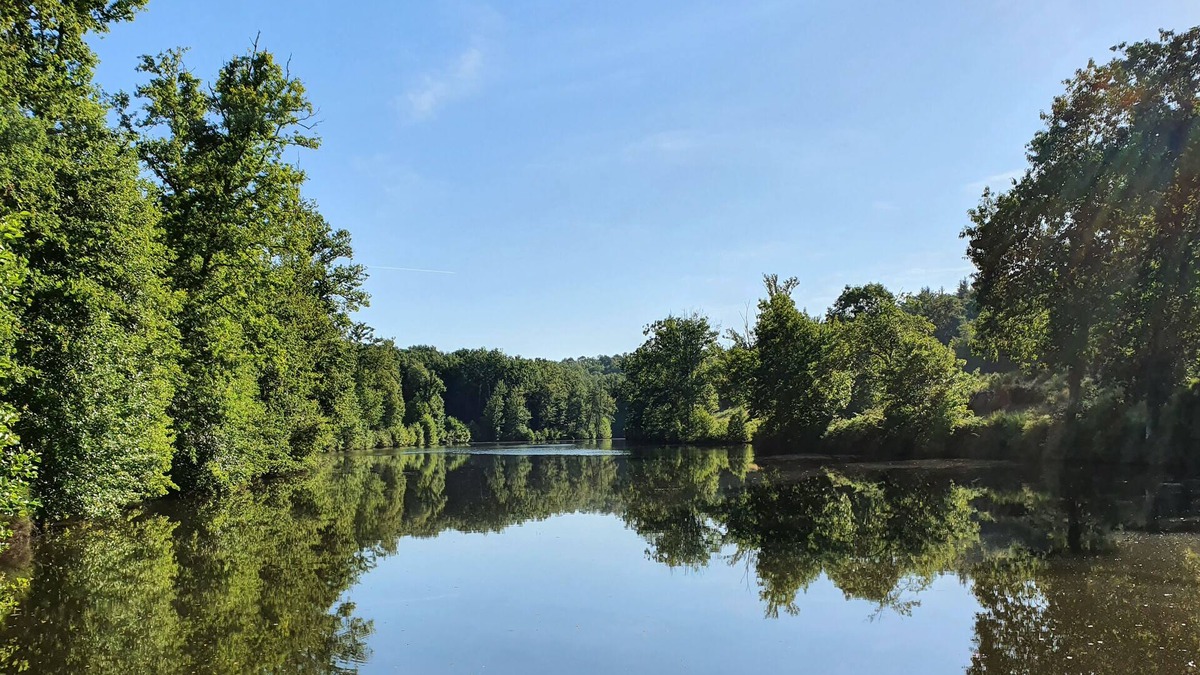 Saint-Estephe Cottage | Private lake & forest in the Dordogne: absolute calm in a comfortable gîte
