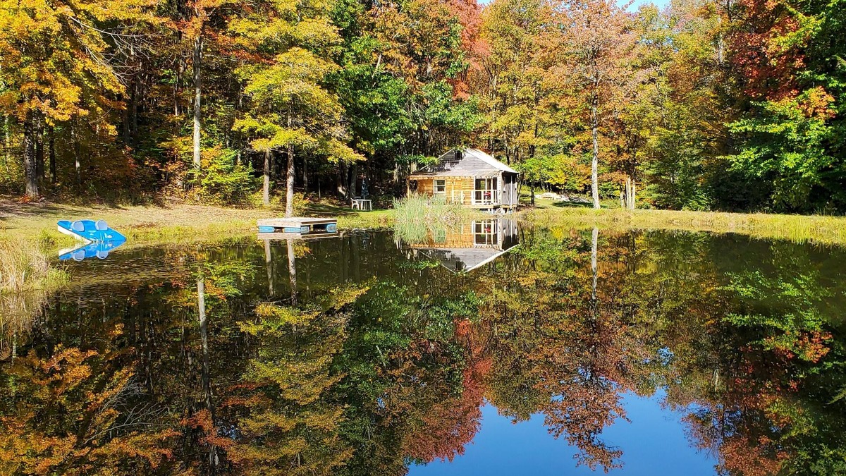 Glen Aubrey Cabin | Private off-grid rustic cabin, pet friendly, fishing