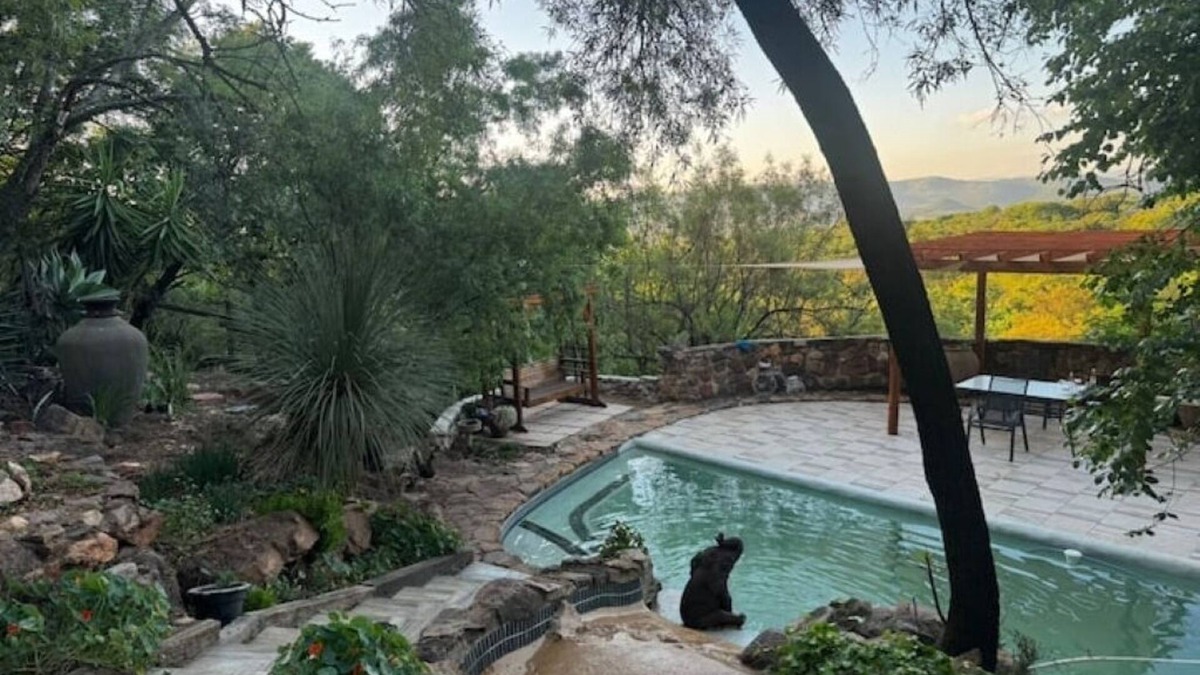 Centurion Cottage | Private & peaceful country cottage bordering the Rhenosterspruit Nature Reserve.