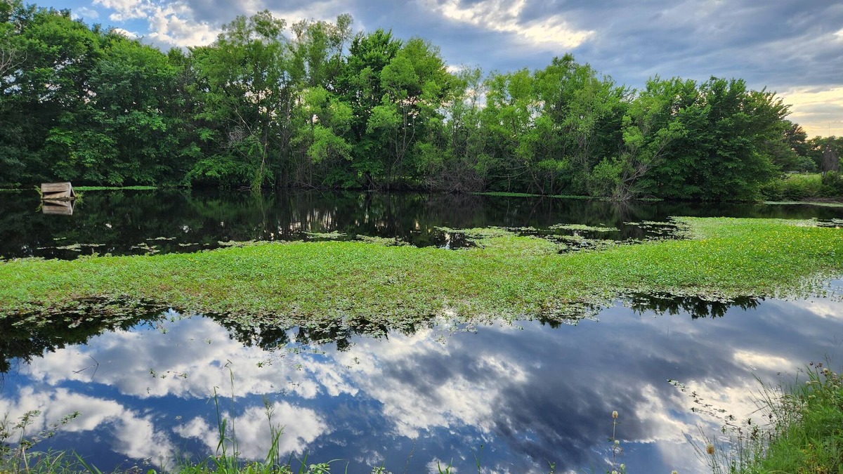 Weston Other | Private Pond Front True Ranch - Vacation Home in 10 acres- Plenty of parking