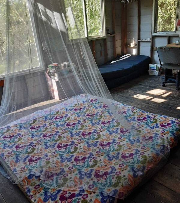 Partido de Tigre Resort | Private room ∙ 2 guests